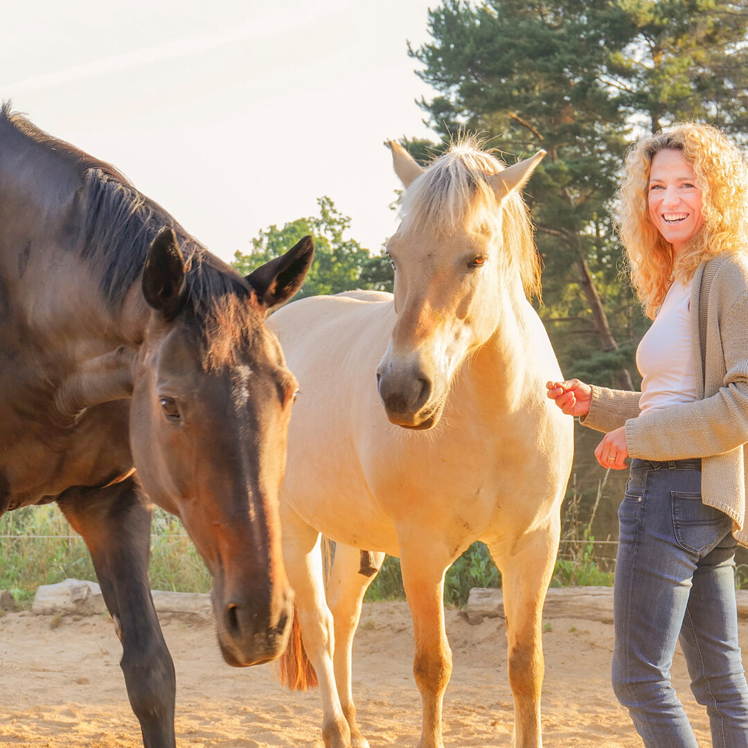 PiCut Pferde in Coaching und Therapie